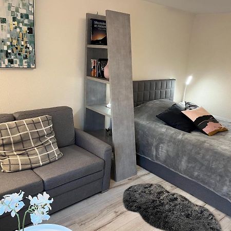 Alice Apartment Wackernheim Ингелхайм ам Рейн Екстериор снимка