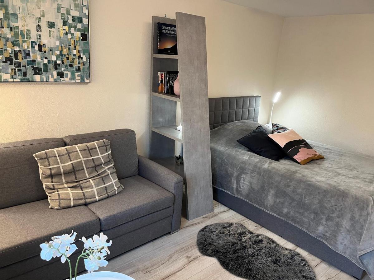 Alice Apartment Wackernheim Ингелхайм ам Рейн Екстериор снимка