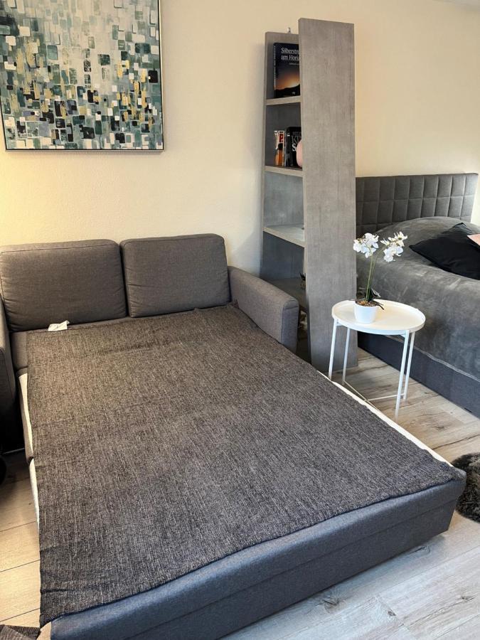 Alice Apartment Wackernheim Ингелхайм ам Рейн Екстериор снимка